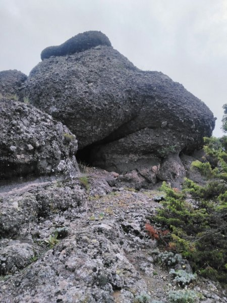 image-4.png