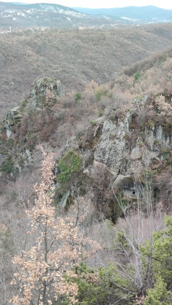 IMG-20210314-WA0016.jpg