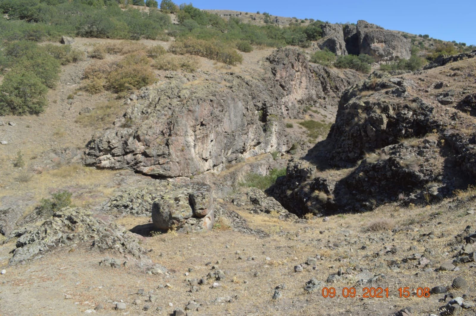 IMG-20220110-WA0016.jpg
