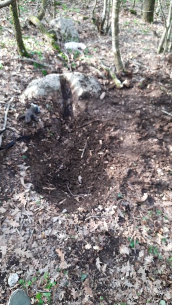 IMG-20220212-WA0021.jpeg