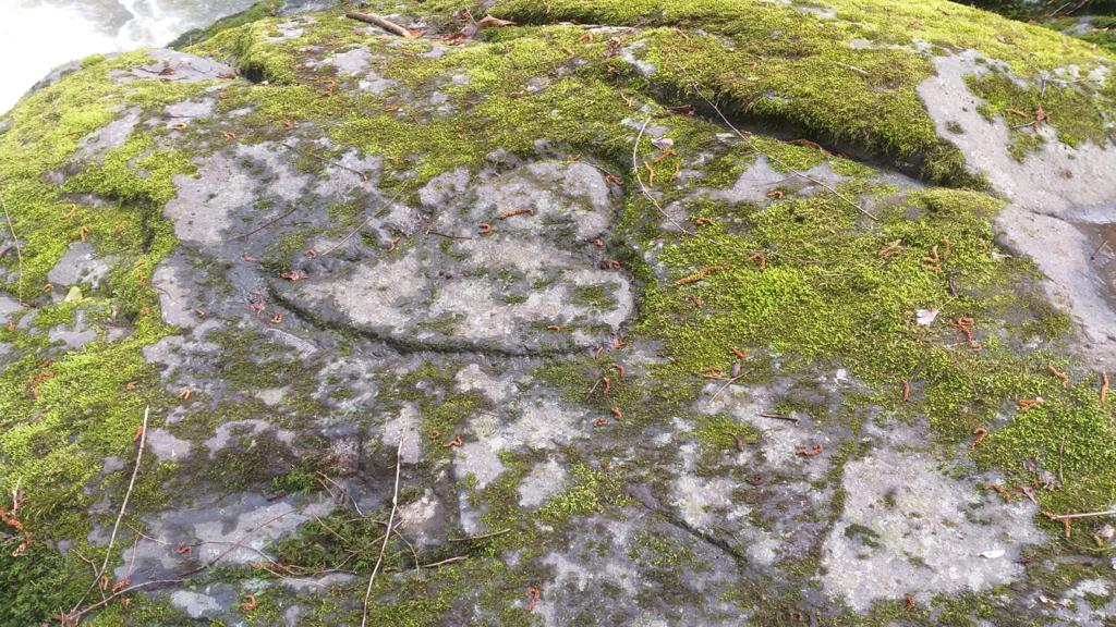 IMG-20220623-WA0018.jpg