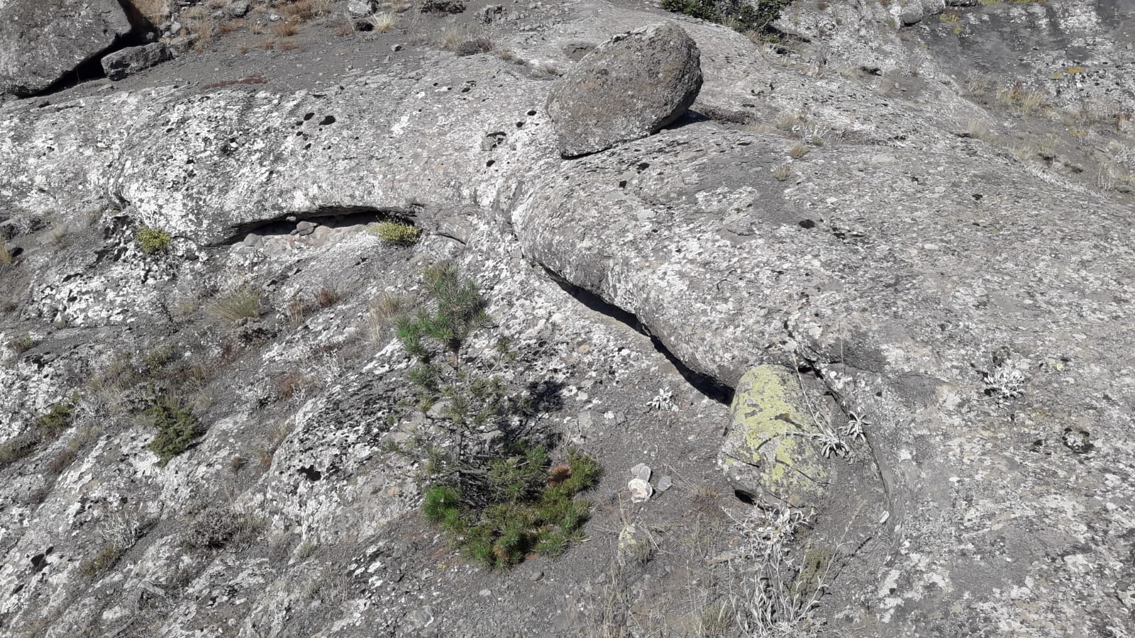 IMG-20220726-WA0020[1].jpg