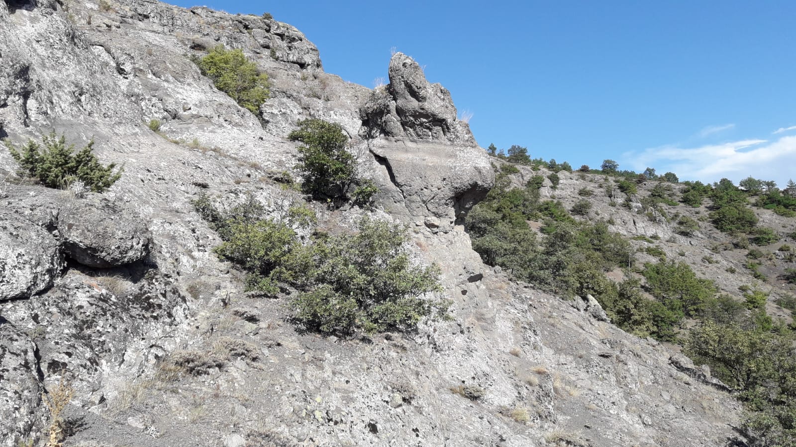 IMG-20220726-WA0024[1].jpg