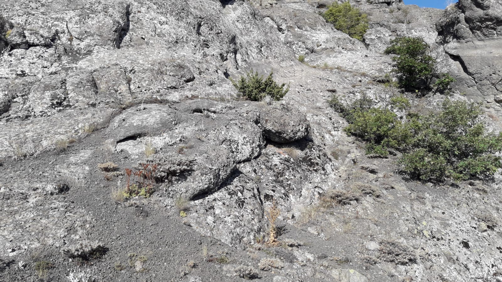 IMG-20220726-WA0025[1].jpg