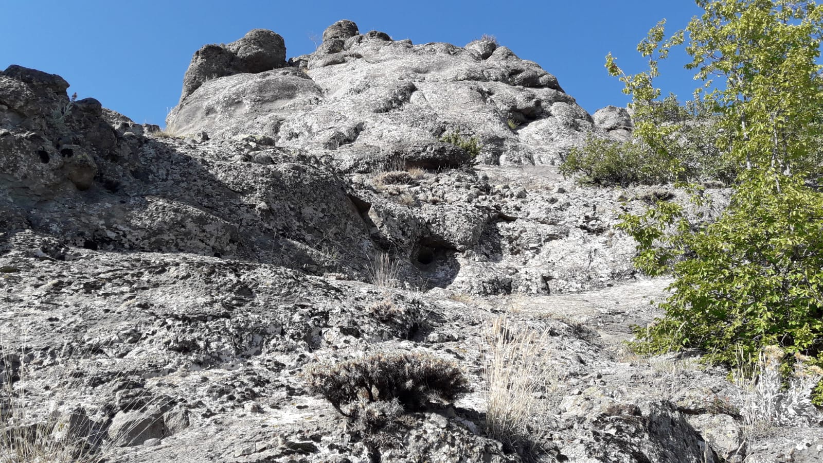IMG-20220726-WA0026[1].jpg