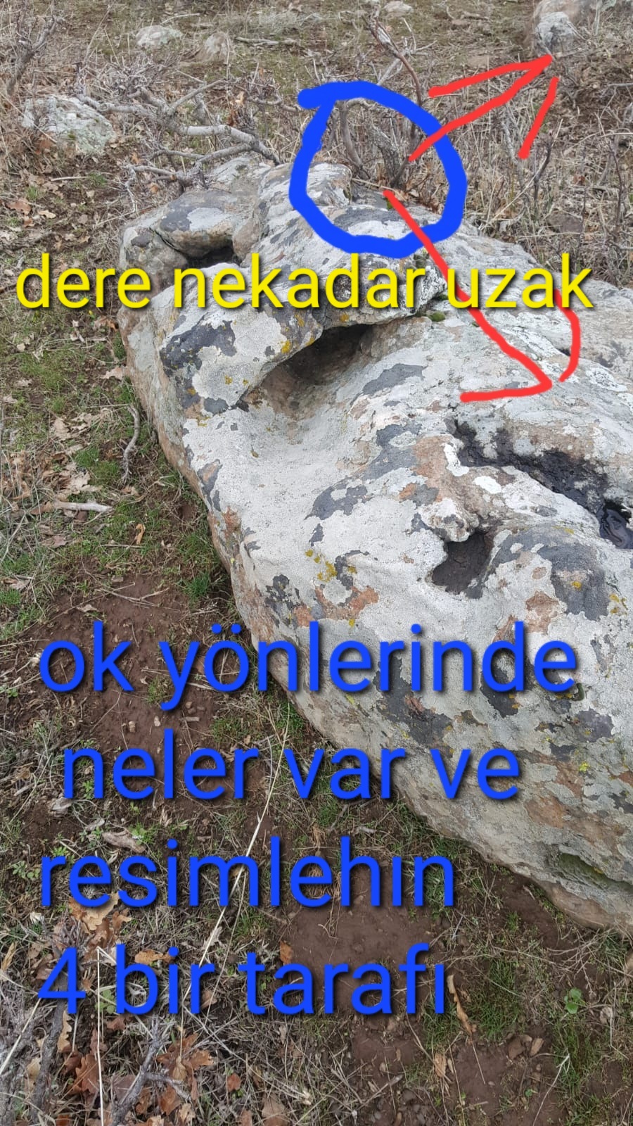 IMG-20230320-WA0005.jpg