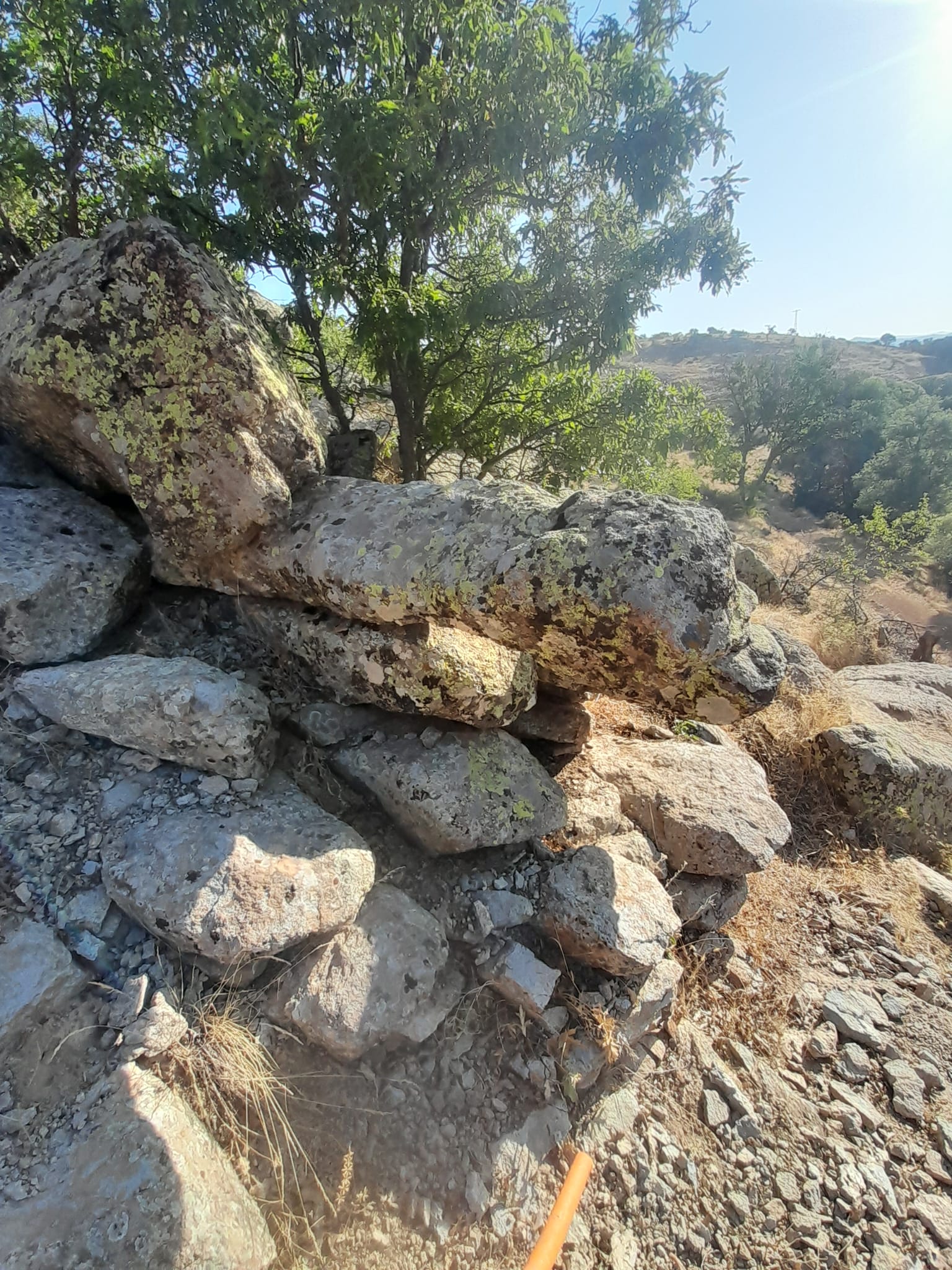 IMG-20230914-WA0000.jpg