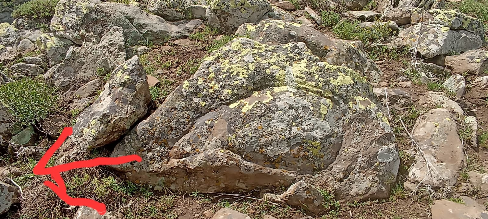 IMG-20231104-WA0002.jpg