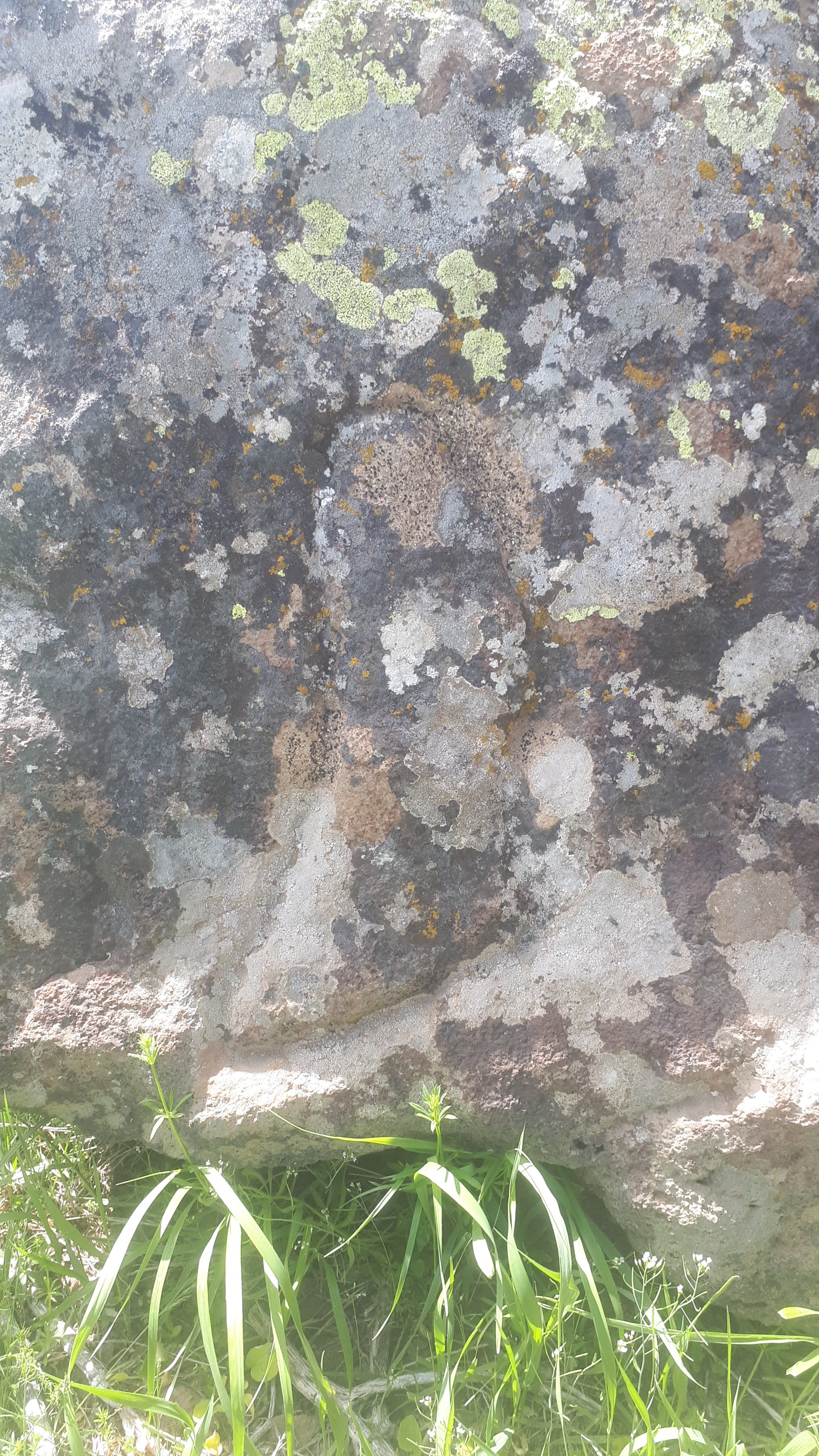 IMG-20260607-WA0002.jpeg