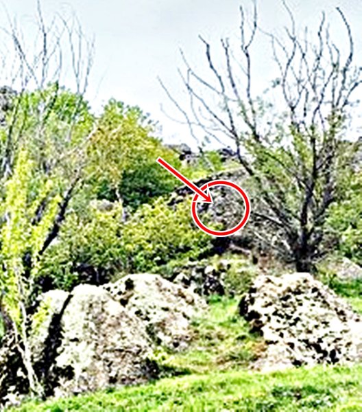 IMG20220524111312.jpg
