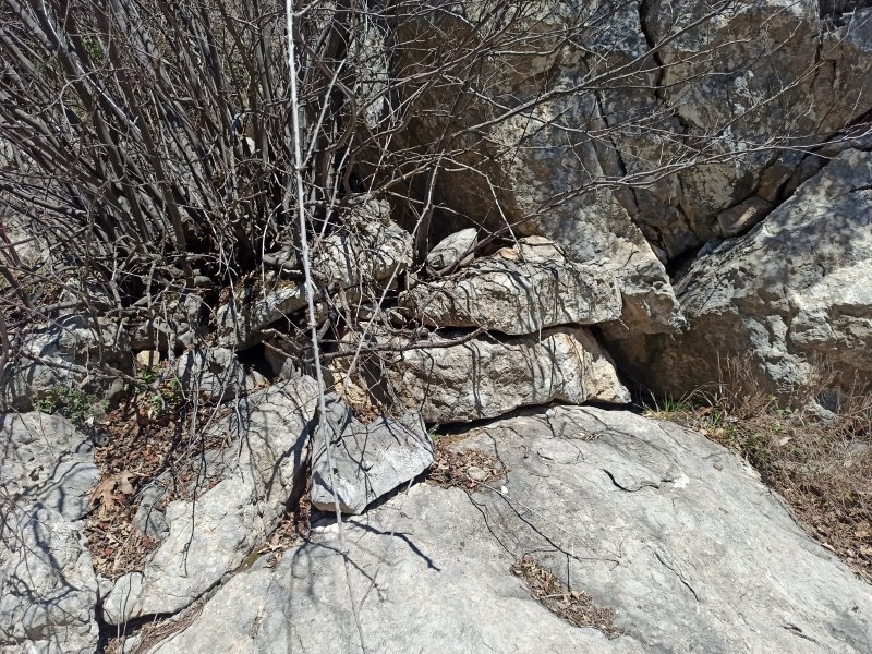 IMG_20220315_115115.jpg