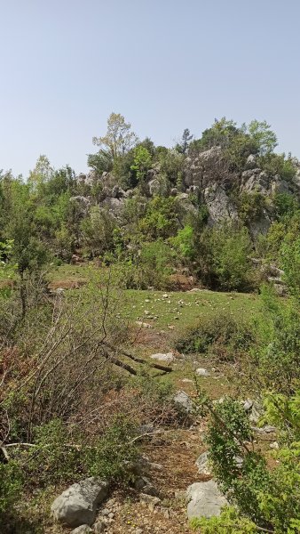 IMG_20220426_105649.jpg