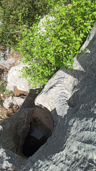 IMG_20220426_105940.jpg