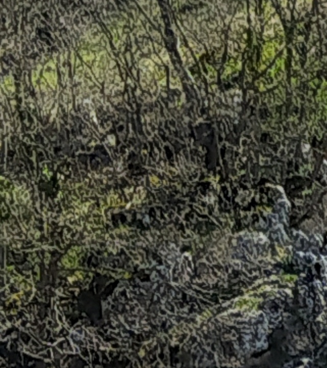 IMG_20230415_153340.jpg