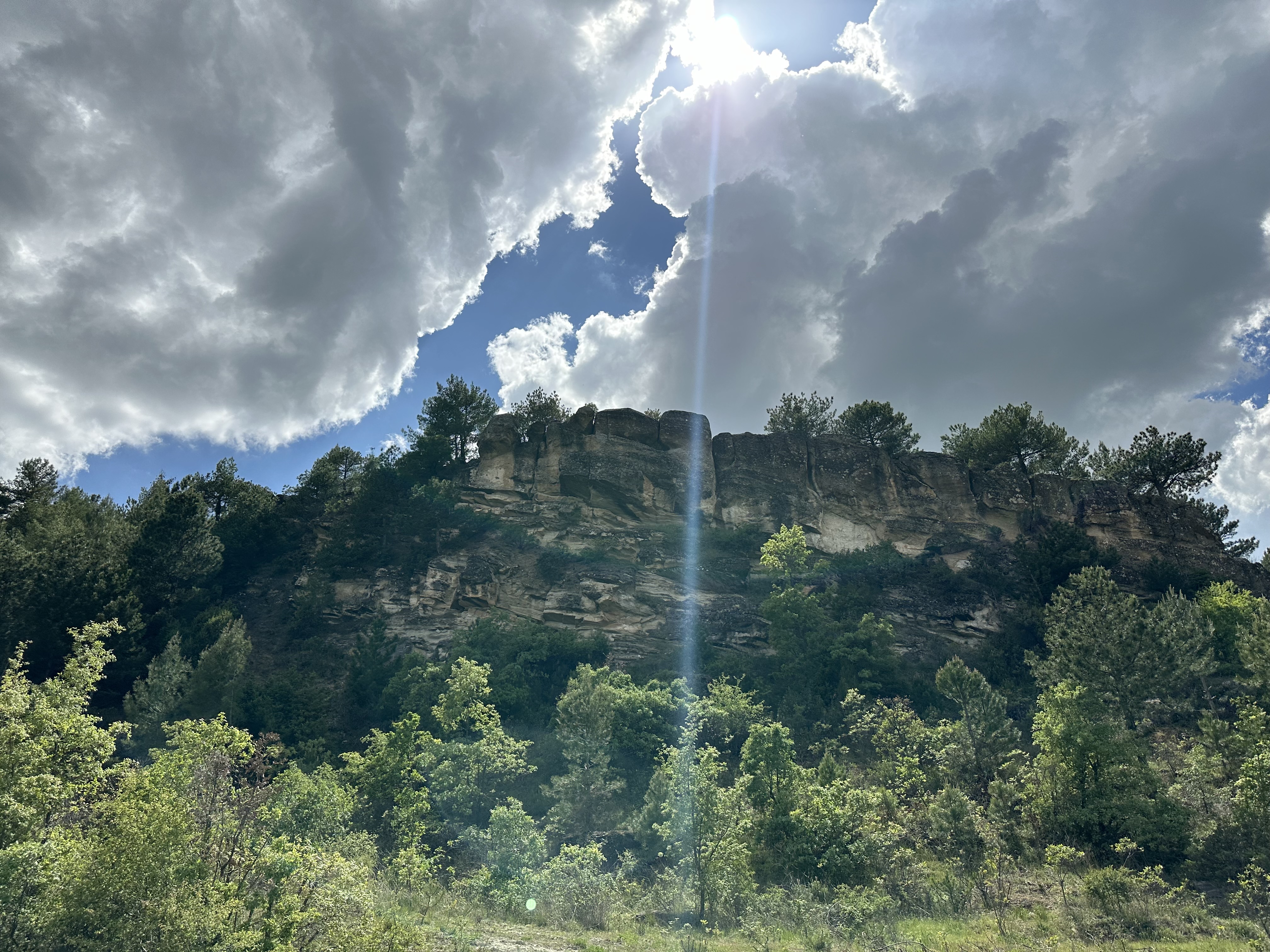 IMG_7317.jpeg