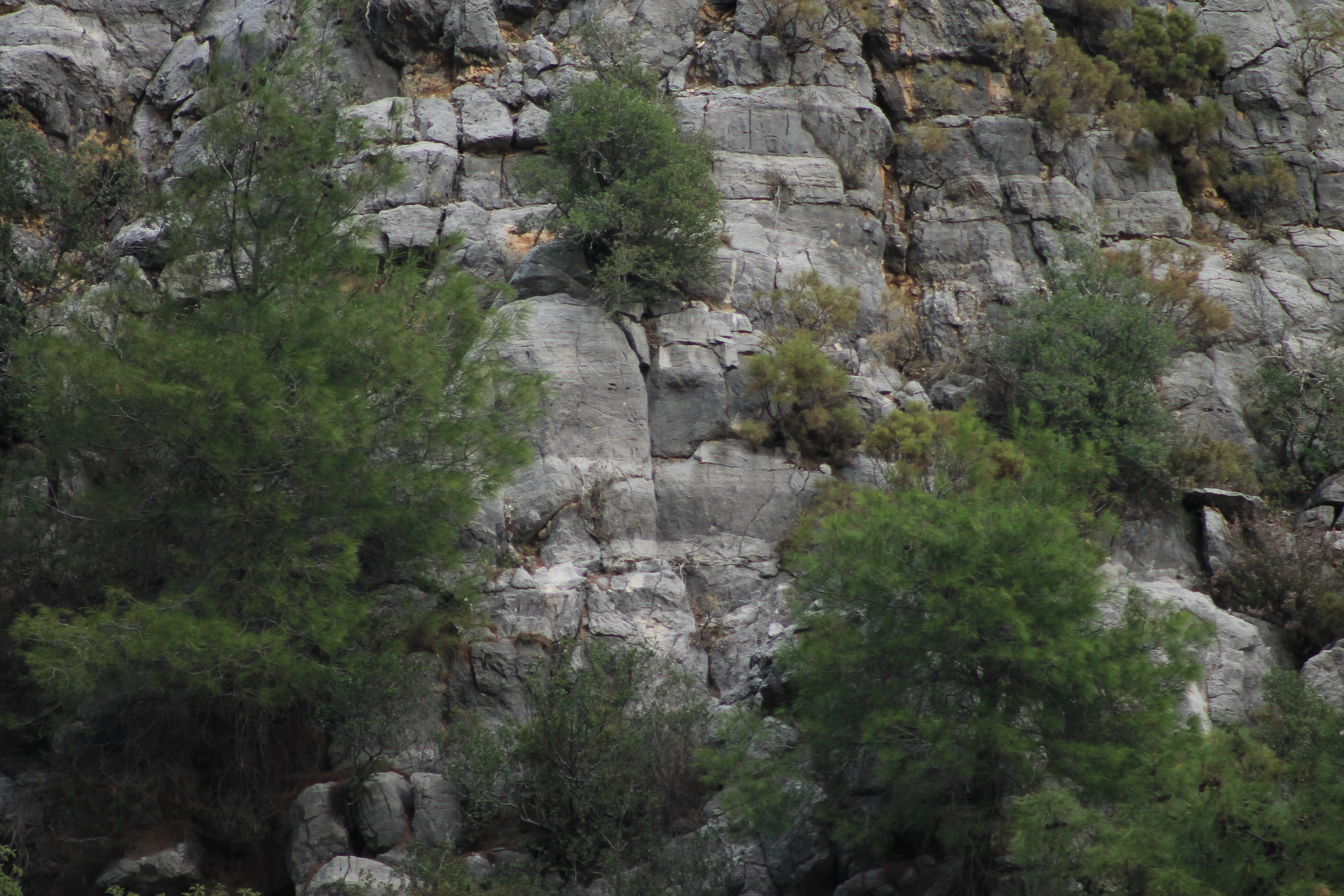 IMG_7570.jpg