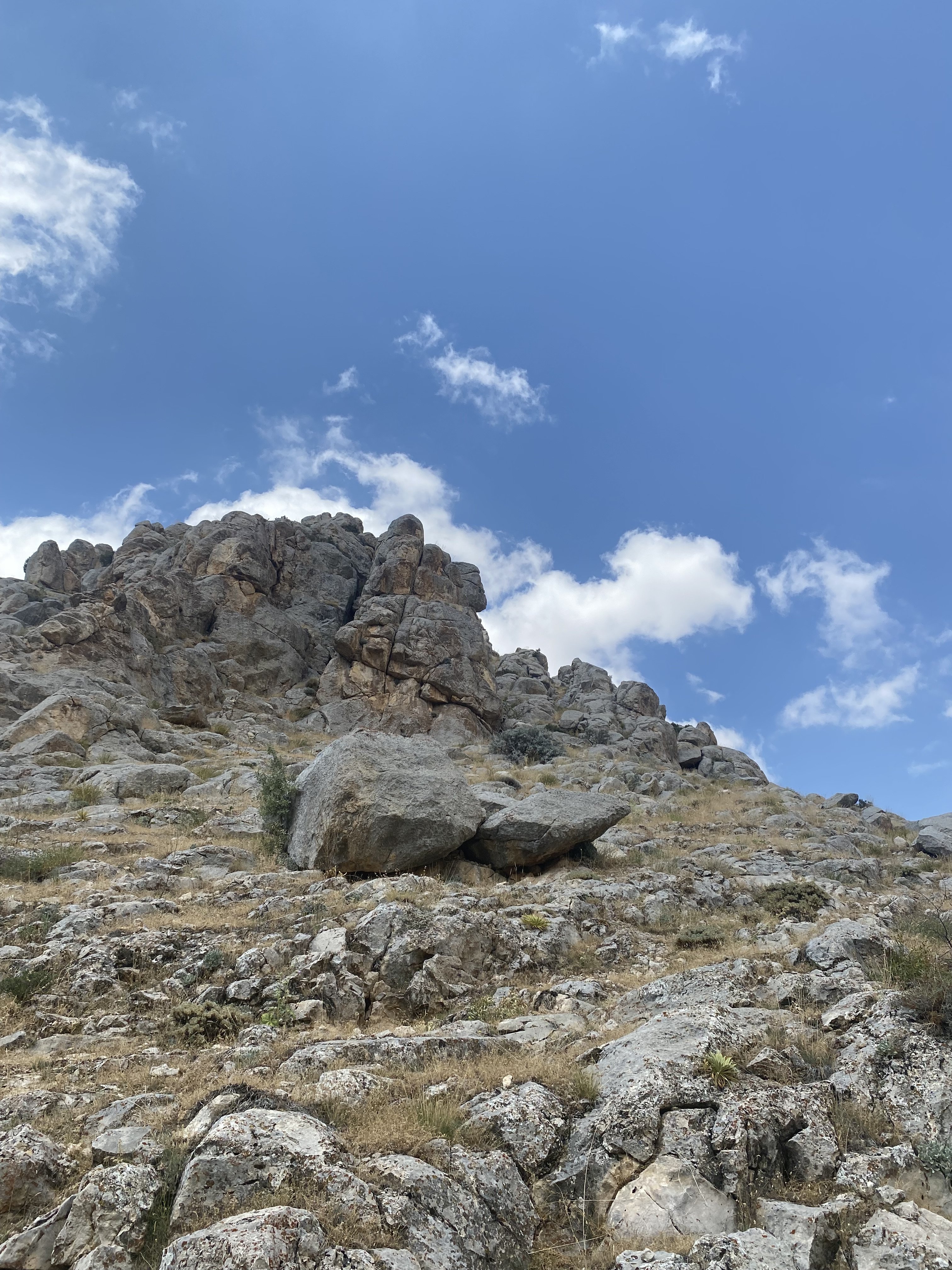 IMG_7764.jpeg