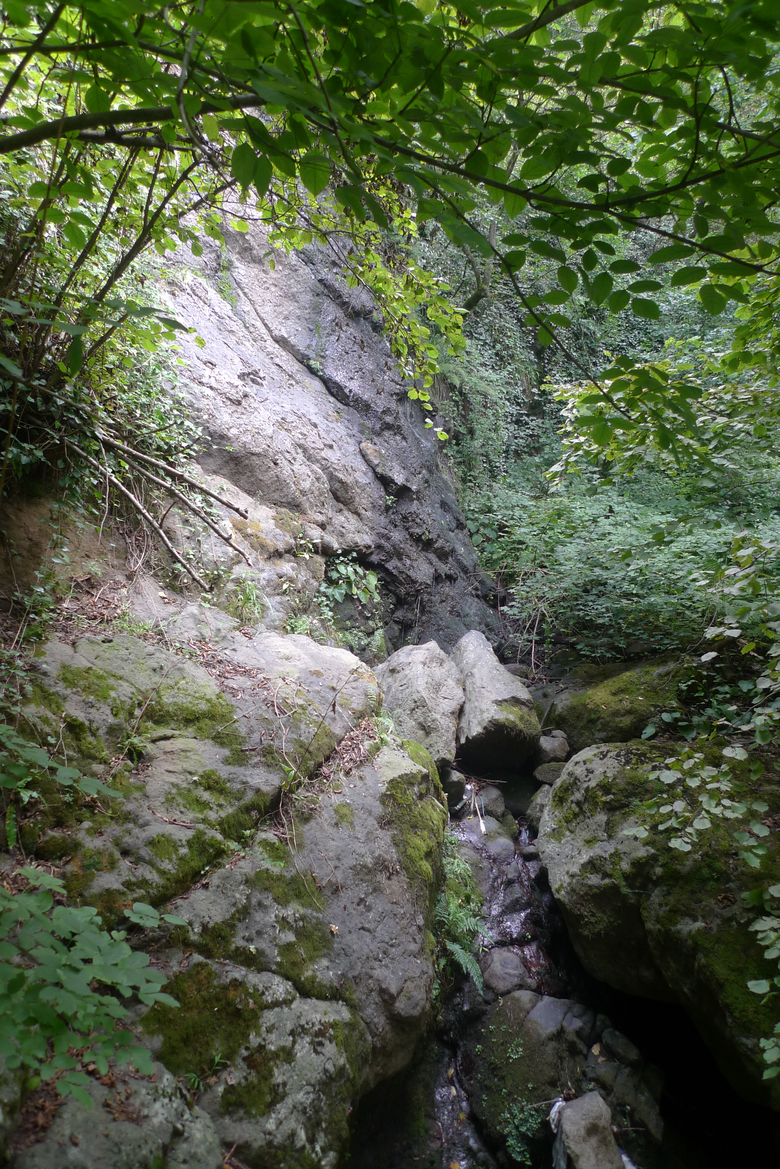 P1050291.JPG