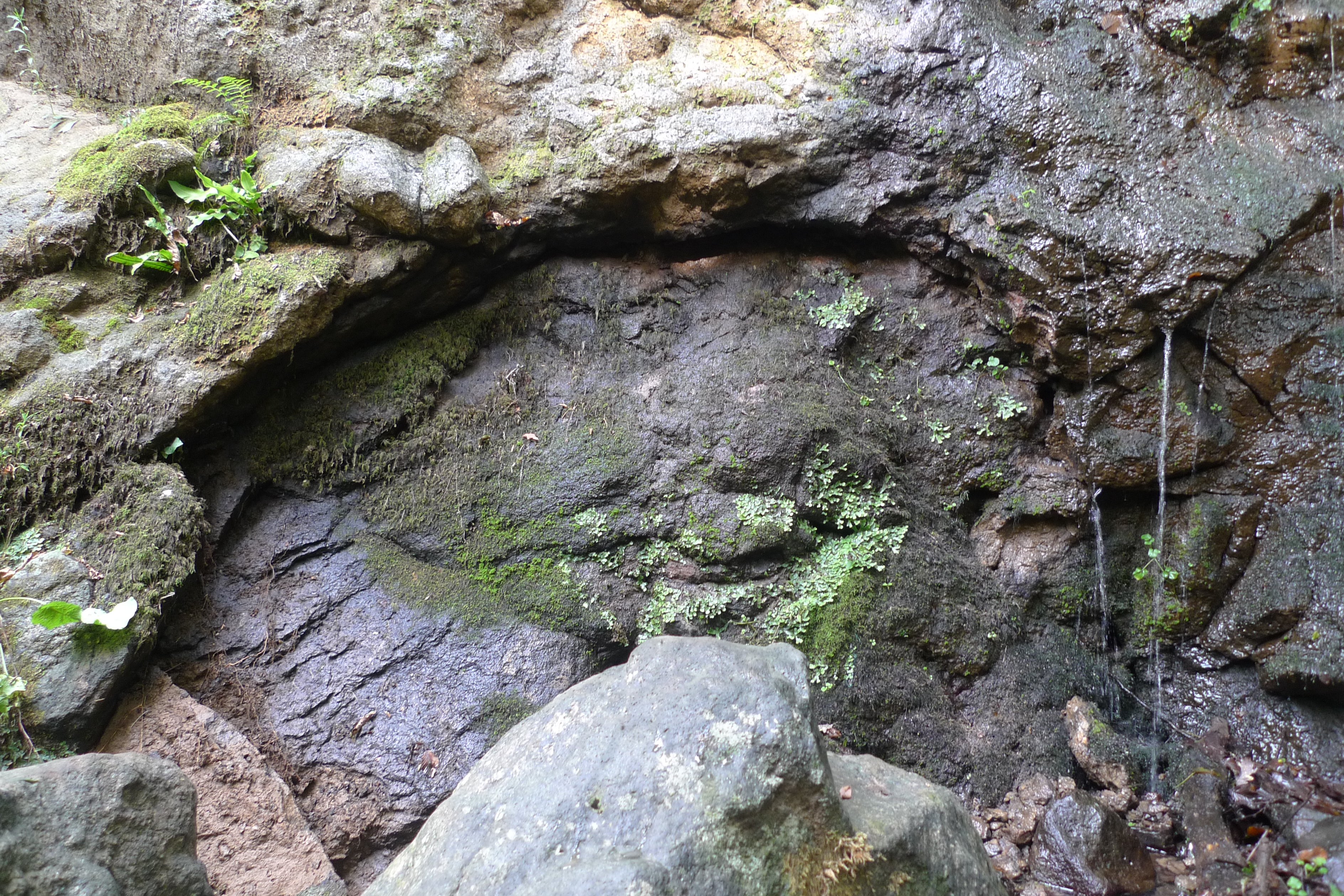 P1050400.JPG