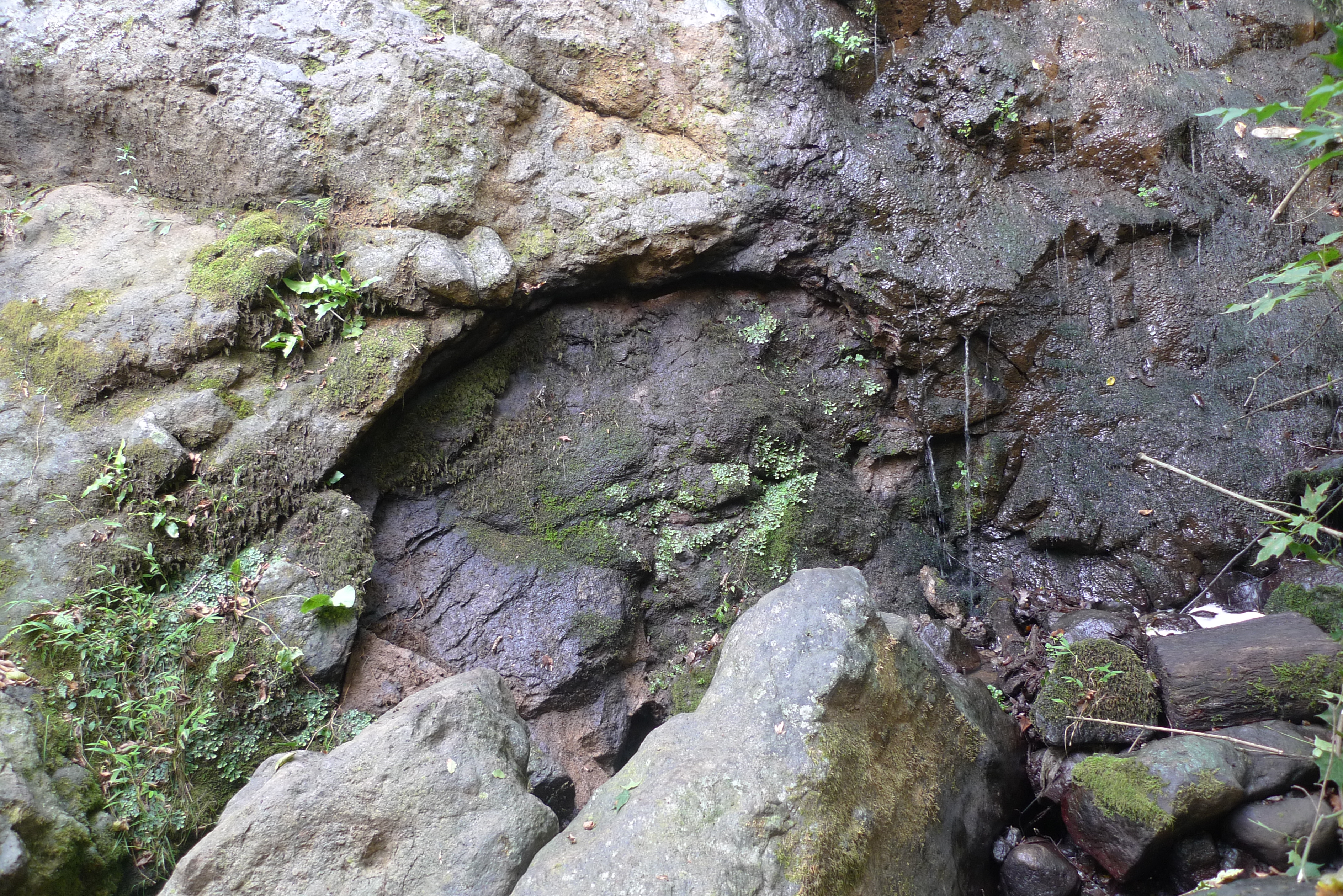 P1050402.JPG