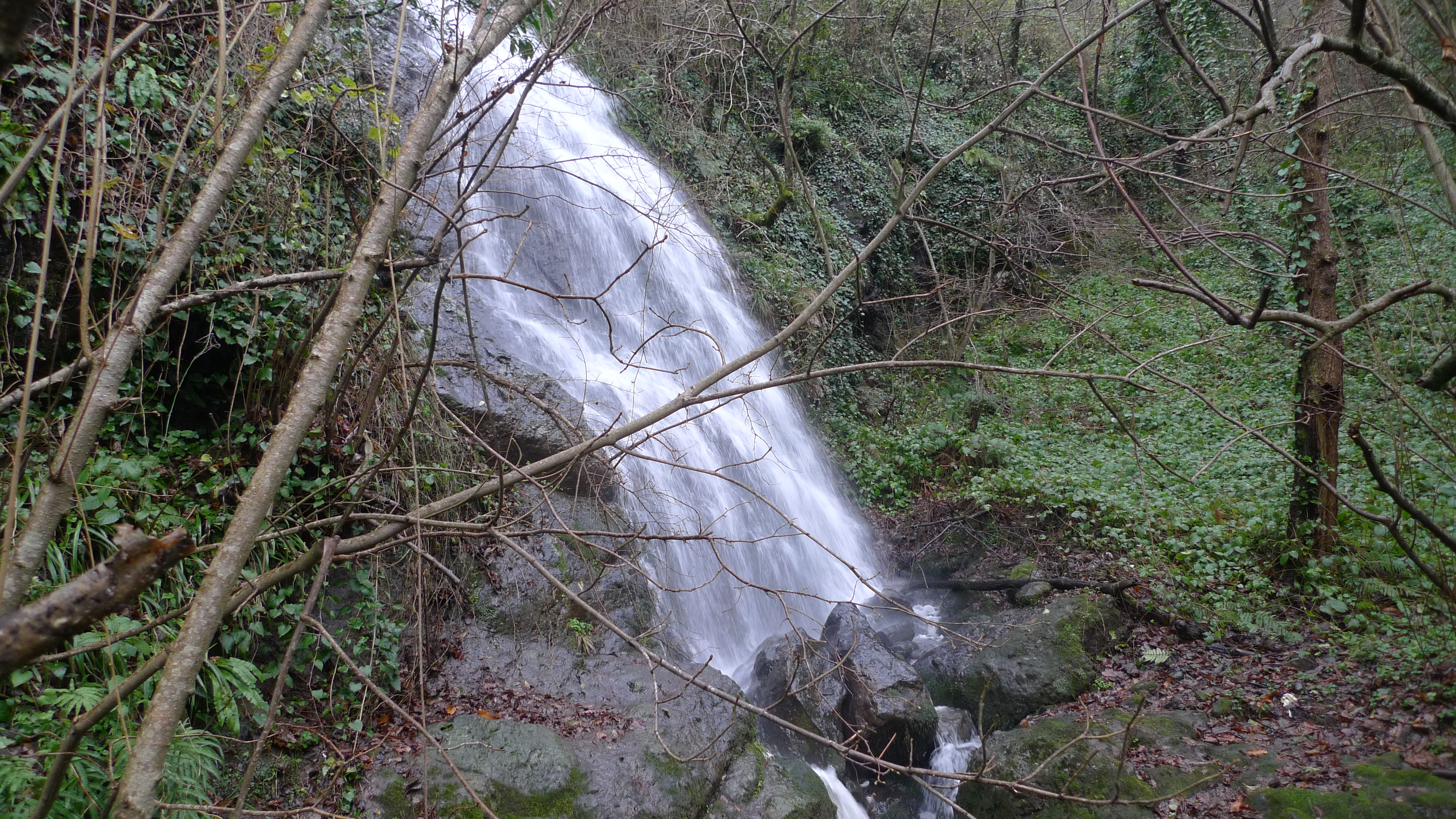 P1050939.JPG