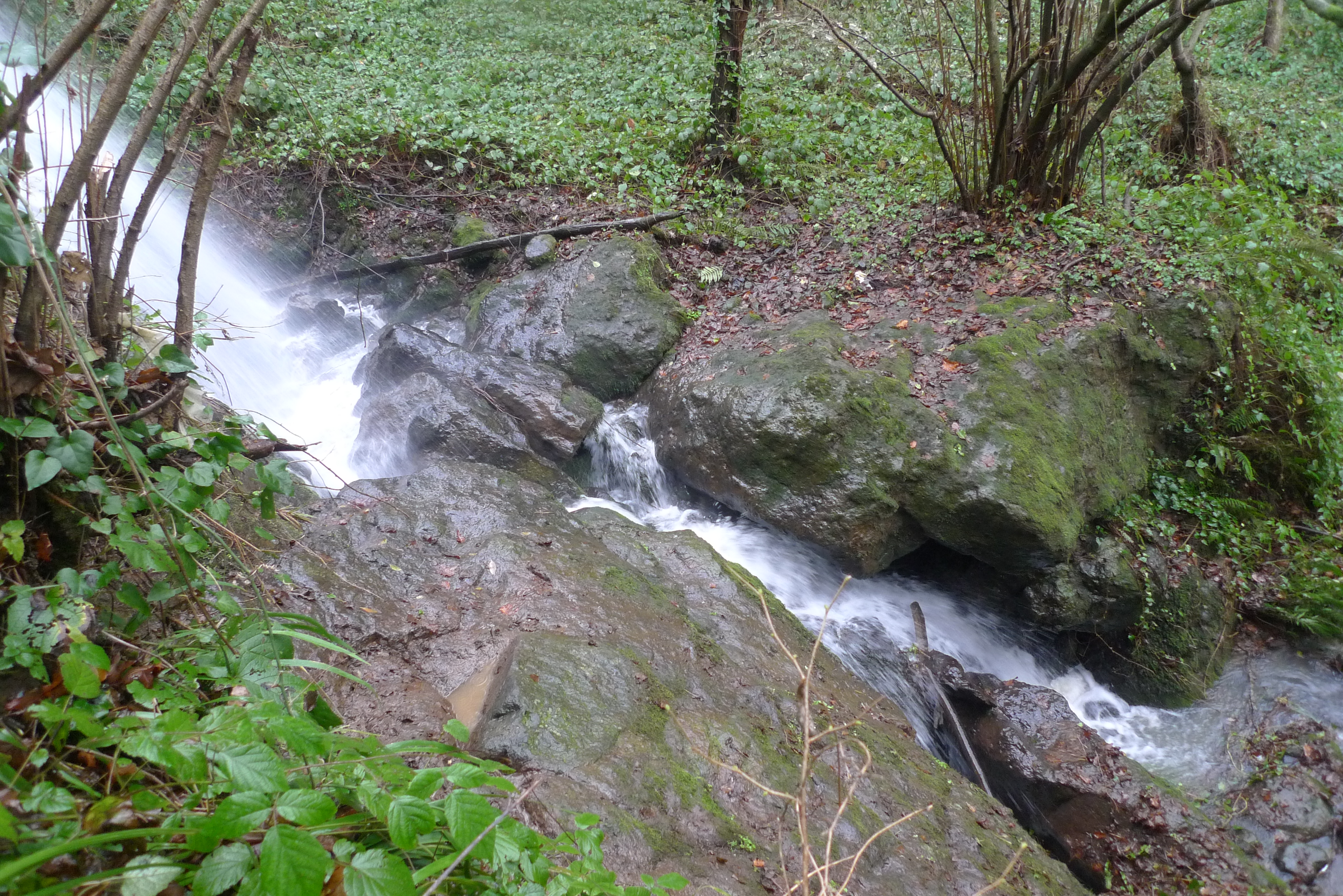 P1050991.JPG