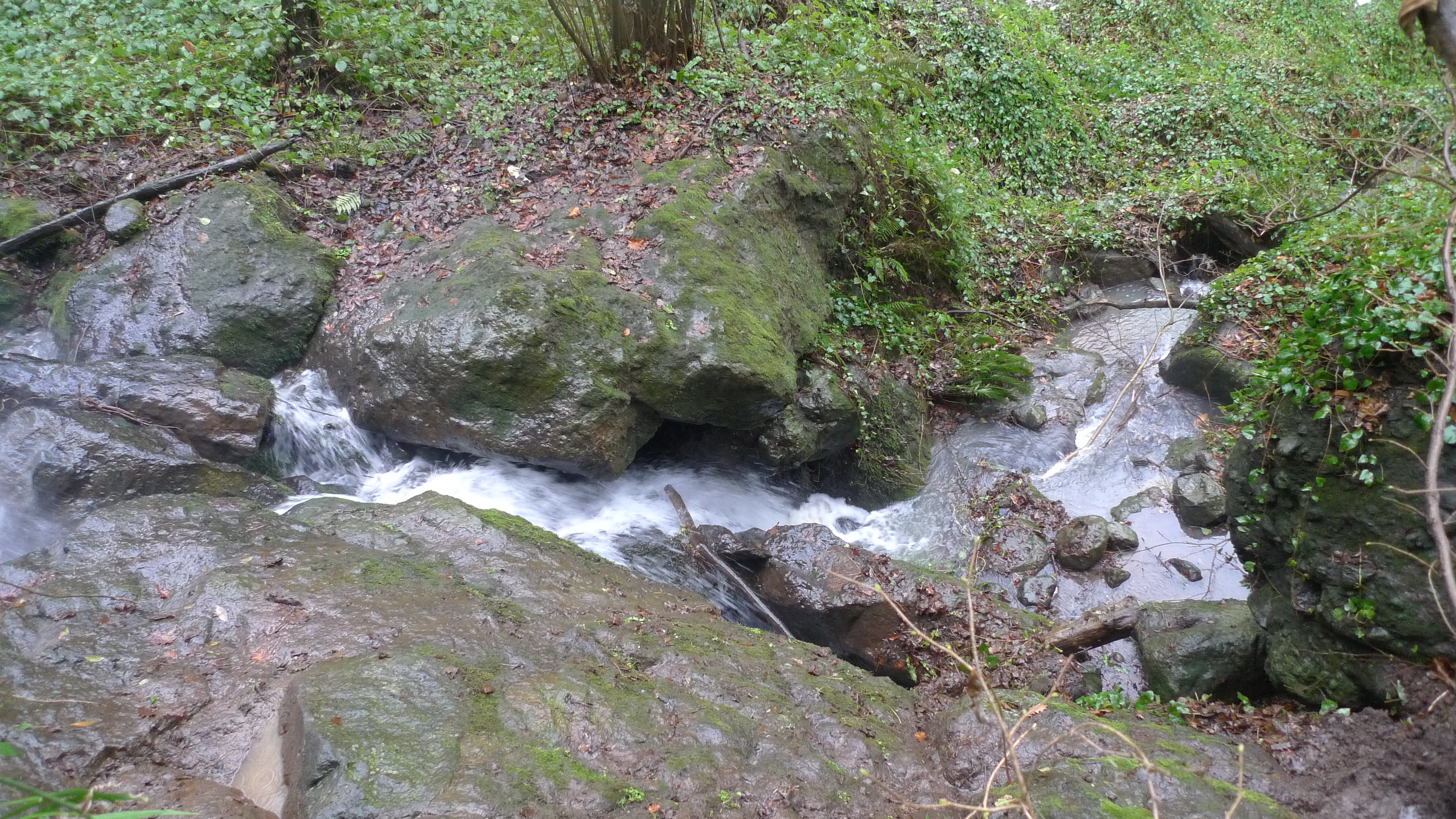 P1050992.JPG