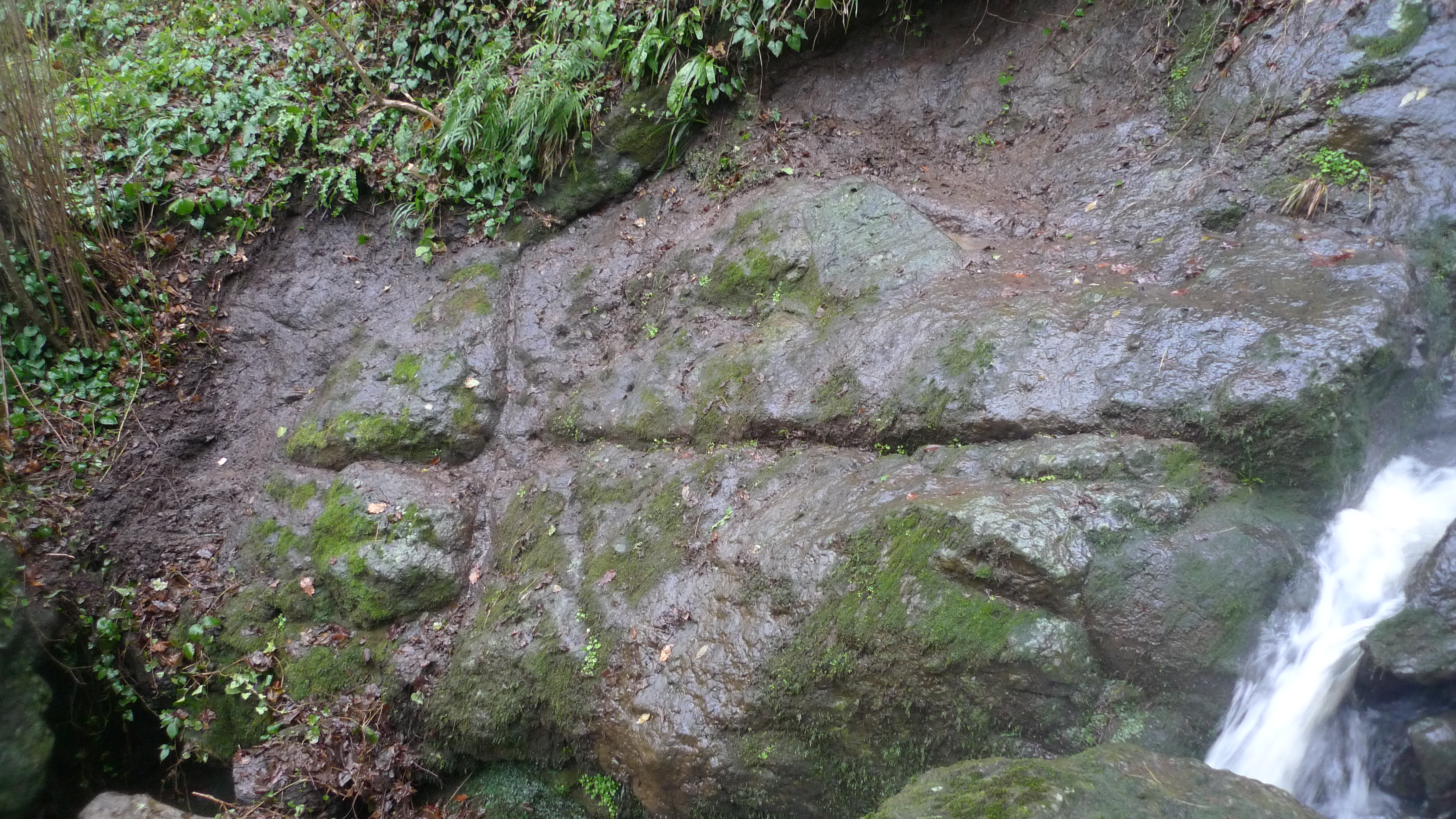 P1060011.JPG