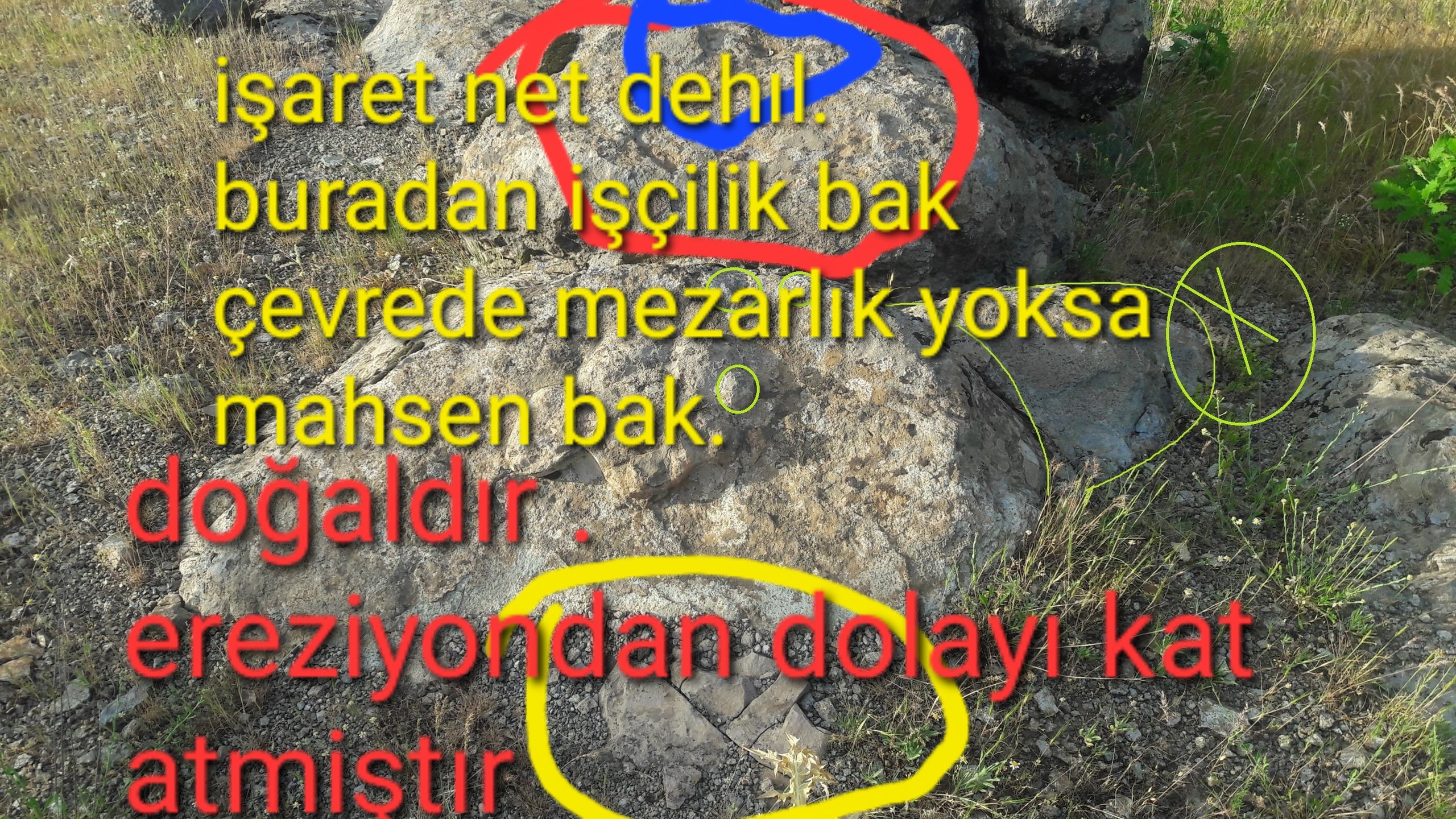 QP4jqj.jpg