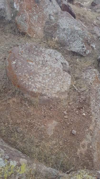 received_2109586839251847.jpeg