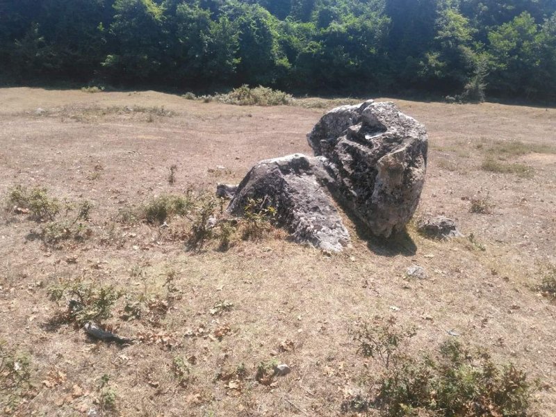 received_241589696253199.jpeg