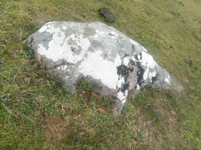 received_241948689550633.jpeg