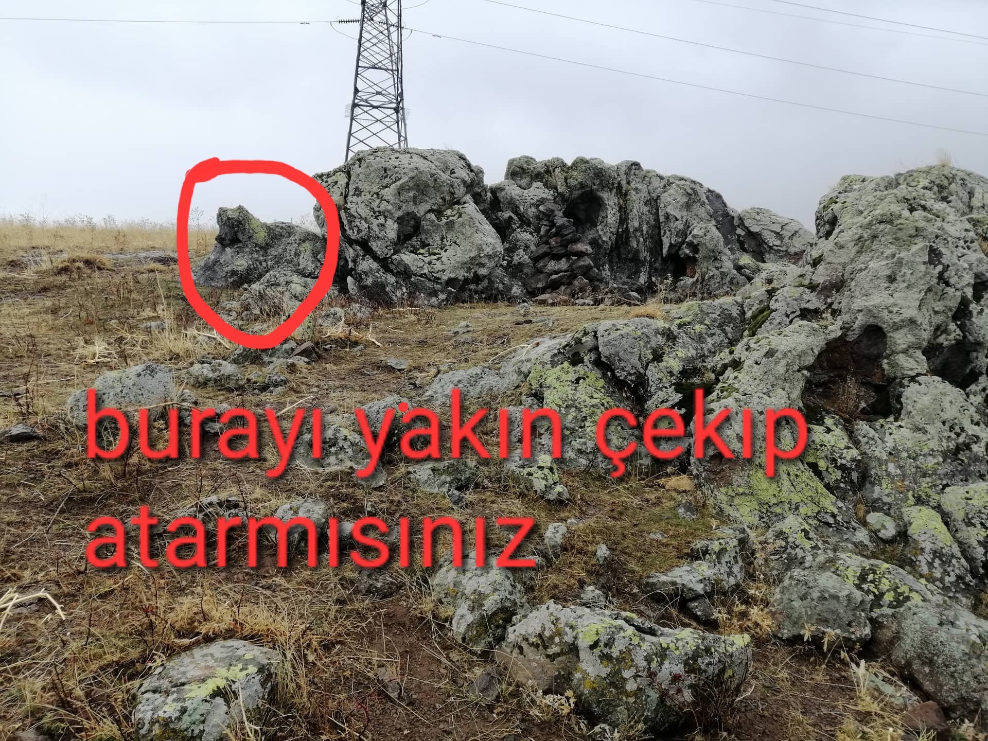 received_645792711063943.jpeg