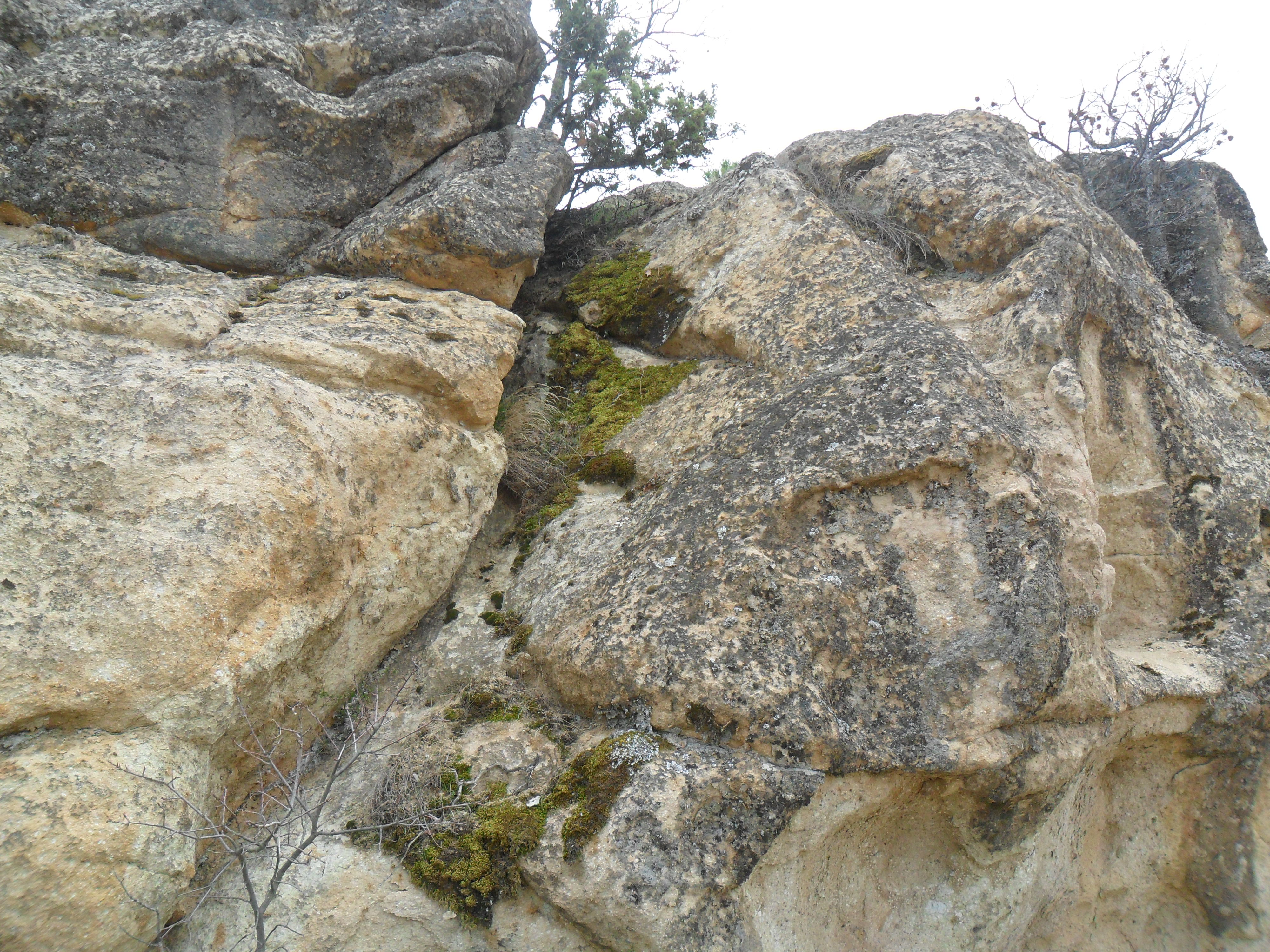 SAM_0090.JPG