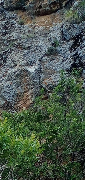 Screenshot_20220120-230607.png