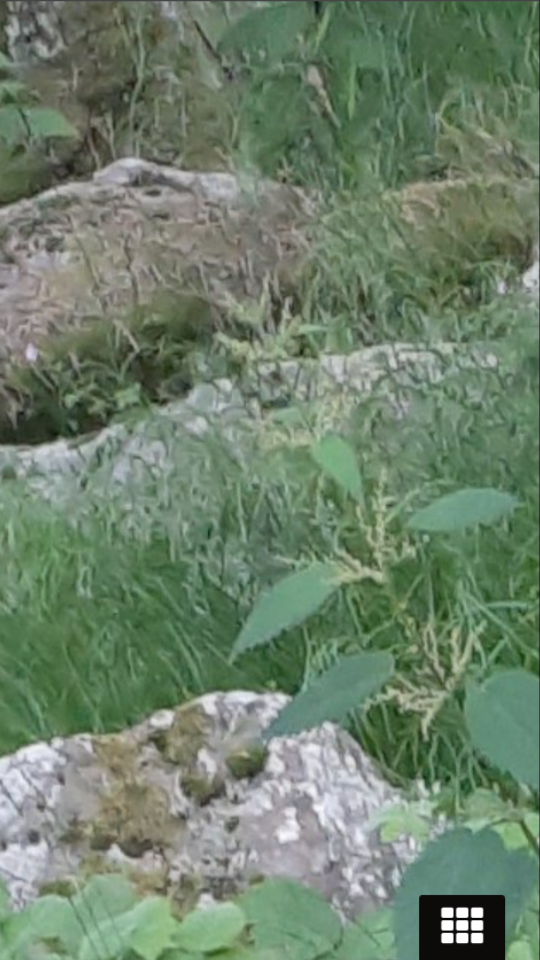 Screenshot_2023-08-31-17-43-48.png