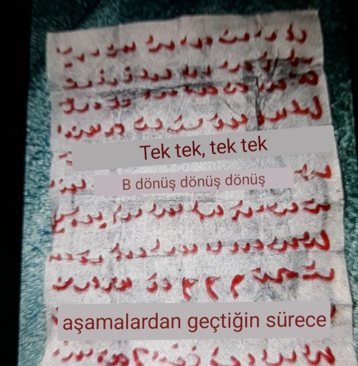 Screenshot_20230112-235143_Google.jpg