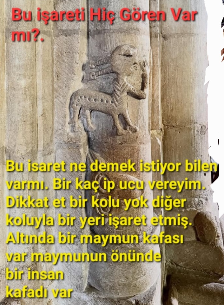 Screenshot_20260212-172501_Photo Editor.jpg