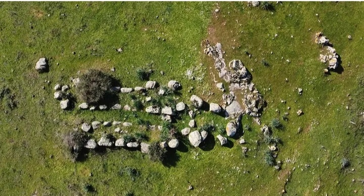 Screenshot_20260514-123349_Instagram.jpg