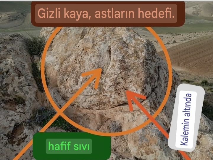 Screenshot_20260515-160320_Google.jpg