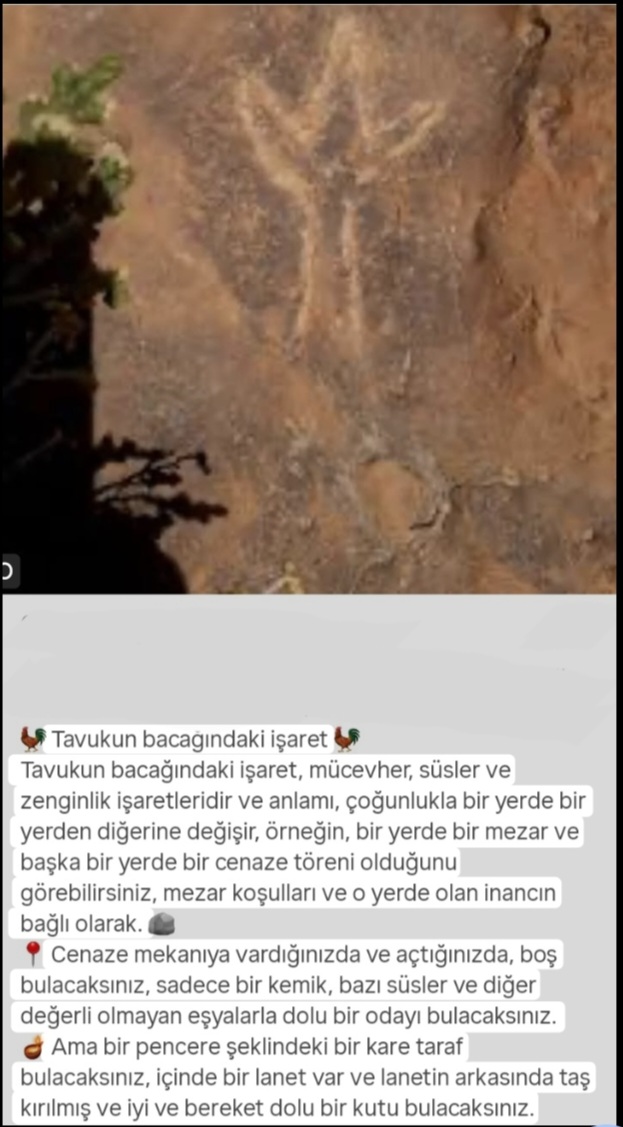 Screenshot_20260628-210103_Google.jpg