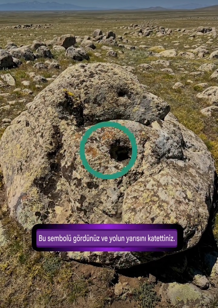 Screenshot_20260705-195243_Google.jpg