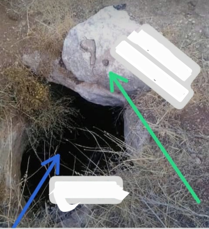 Screenshot_20260729-203705_Google.jpg