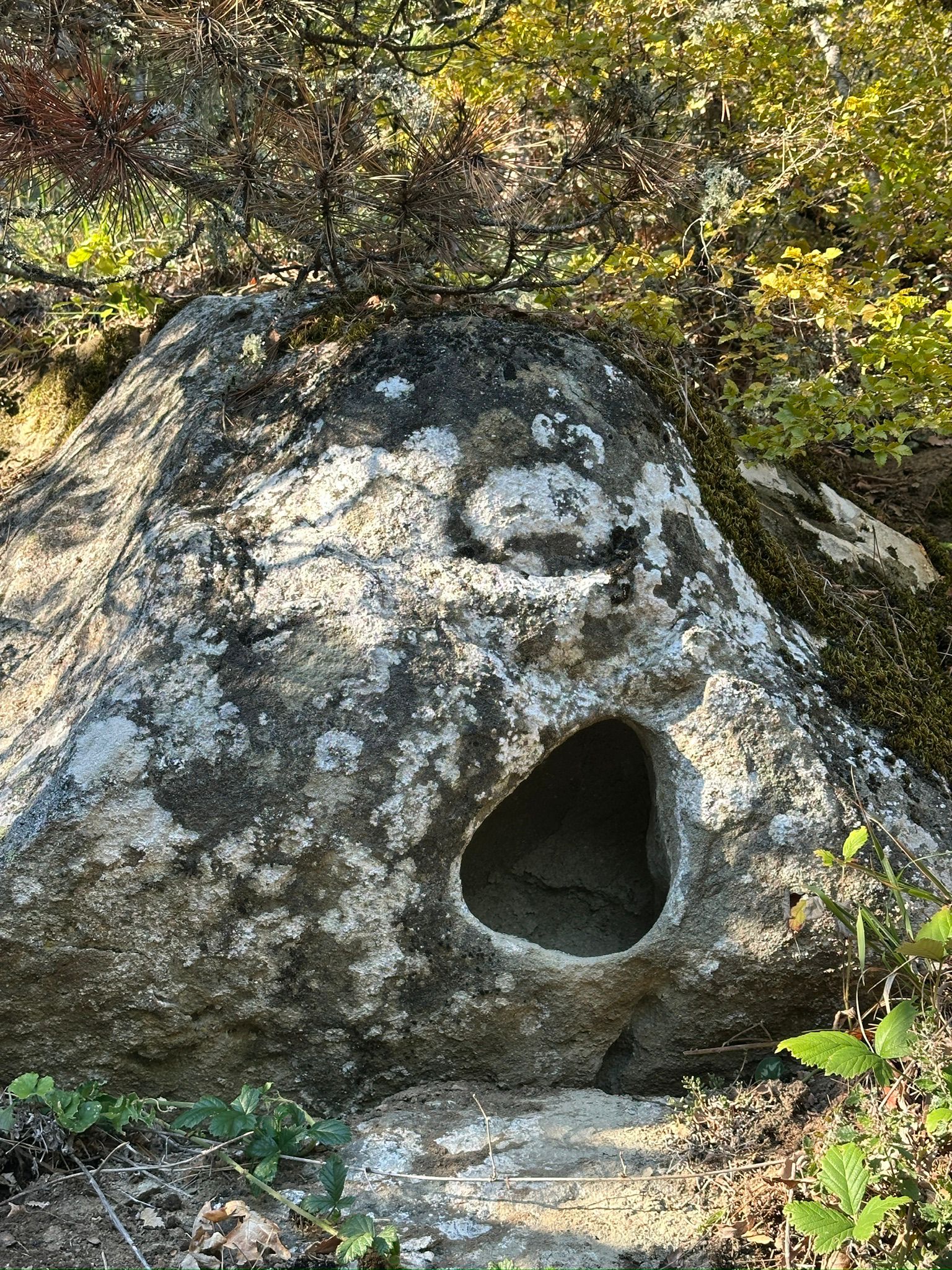 WhatsApp Image 2026-04-09 at 10.11.10.jpeg