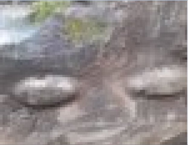 YAKIN.JPG