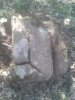 IMG-20200423-WA0091.jpg