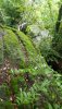 IMG-20210103-WA0016.jpg