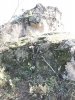 BA07A2E3-B5F5-4F91-B4A1-A5641B0063D3.jpeg