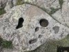 20170512_104658.jpg