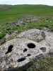 20170517_142152.jpg